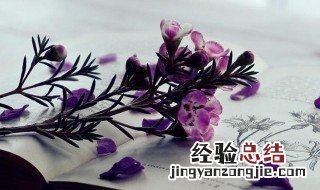 男生游戏名简约有内涵 游戏名字男生简单气质