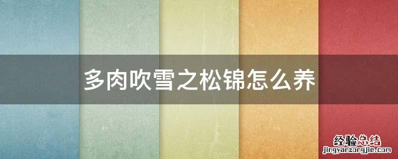 多肉吹雪之松锦怎么养出红色 多肉吹雪之松锦怎么养