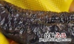 海茄子是什么东西 海茄子属于什么