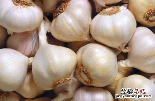 常吃生蒜头有什么好处 吃生蒜头的好处和坏处