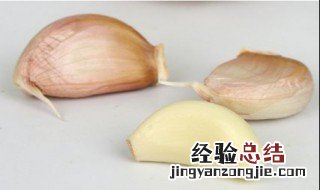 大蒜用什么泡可以钓鱼 大蒜泡酒钓鱼的方法