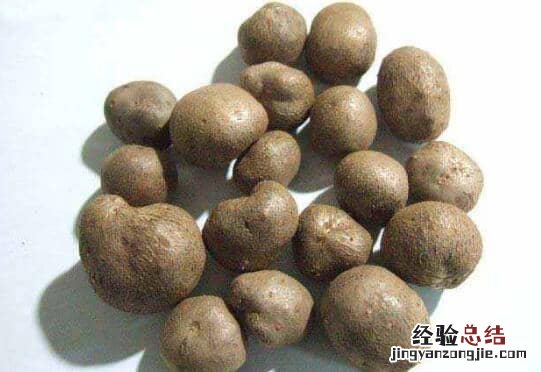 山药豆的功效与作用，吃山药豆的好处