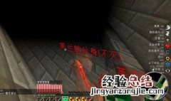 我的世界永久失明指令加反胃 我的世界永久失明指令