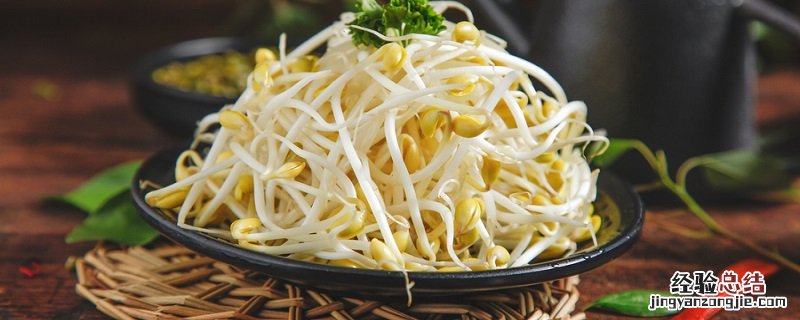 豆芽的生长过程观察日记 豆芽的生长过程