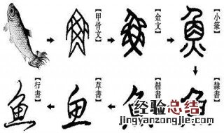 中国的汉字发展史 中国汉字发展史主要出现过甲骨文