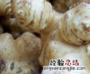 家常腌制洋姜的做法 家庭腌制洋姜方法步骤