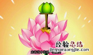 宝莲灯三个字是什么意思 宝莲灯三个字代表的意思是什么