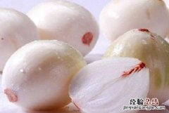 白洋葱和紫洋葱的区别 白洋葱和紫洋葱有区别吗