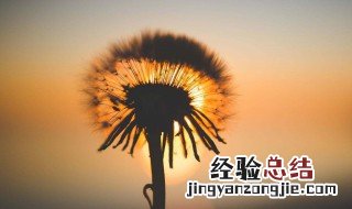 感悟生活哲理名言名句 感悟生活哲理名言