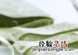 新鲜芦荟怎么涂抹脸 怎么用新鲜芦荟涂脸