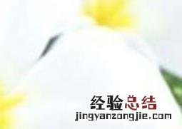 新鲜芦荟怎么涂抹脸 怎么用新鲜芦荟涂脸