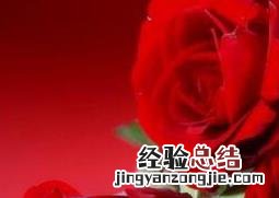 玫瑰花怎么保存成干花 玫瑰花怎么保存
