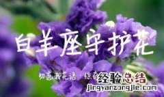 白羊代表的花是什么 白羊座对应的花