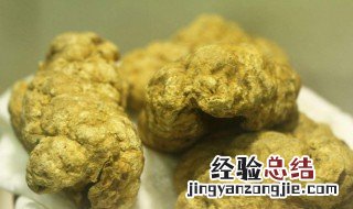 紫河车的功效与作用 给大家介绍一下