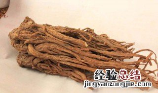 当归的功效与作用吃法 必知这些内容