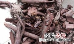 紫草的功效与作用 科普小知识送给你