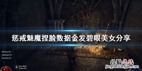 惩戒魅魔捏脸数据金发碧眼美女 惩戒魅魔亚洲捏脸数据