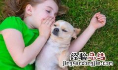 带舞字的古风名字 带舞字的古风名字五个字