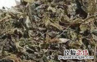 乃贡藤茶的功效与作用及药用价值 龙须茶的功效与作用