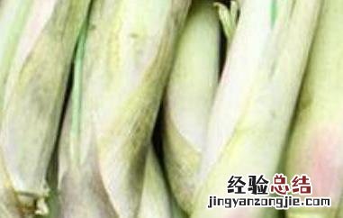 香茅草泡茶的功效与作用 香茅草可以泡茶吗