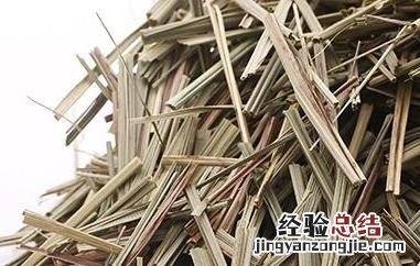 香茅草泡茶的功效与作用 香茅草可以泡茶吗