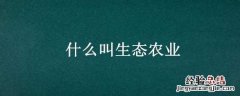 什么叫生态农业 什么叫生态农业技术