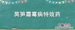 莴笋灰霉病特效药 莴笋霜霉病特效药