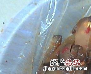 酱油洋姜的腌制方法窍门 酱油洋姜的腌制方法