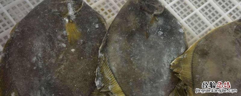 比目鱼有鱼鳞吗 比目鱼有没有鱼鳞