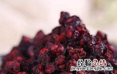 五味子茶的功效与作用及冲泡方法 五味子的功效是什么是否可以泡茶