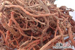 羊红膻 羊红膻的功效与作用