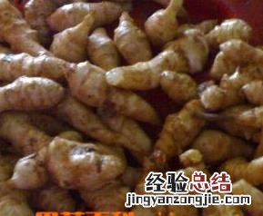洋姜的营养价值 洋姜的营养价值与功效与作用
