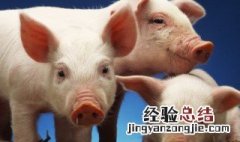 猪头肉的做法及配料 脆皮猪头肉的做法及配料