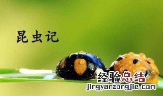 昆虫记昆虫的装死主要内容概括 昆虫记昆虫的装死概括