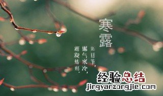 寒露节气祝福 寒露节气祝福语