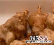 家庭如何腌制洋姜咸菜 家庭如何腌制洋姜