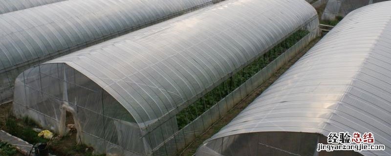 冬季暖棚种植什么更有效益 冬暖式大棚的作用