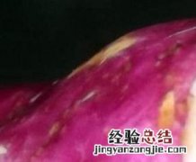 白薯的营养价值 红薯的营养价值及功效与作用