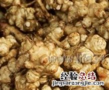 洋姜的腌制方法 洋姜的腌制方法和配料