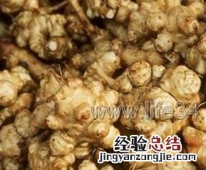 洋姜的腌制方法 洋姜的腌制方法和配料