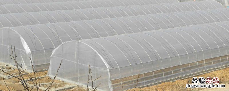 冬天大棚怎么保温28° 大棚保温方法