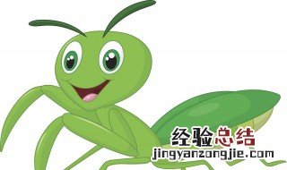 螳螂是益虫还是害虫 它竟然是益虫