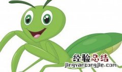 益虫有哪些 快来这里了解下这些小知识了