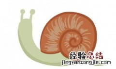 蜗牛是益虫还是害虫 看完这些您就知道了