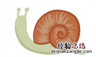 蜗牛是益虫还是害虫 看完这些您就知道了