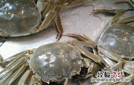 河蟹养殖条件气候 河蟹养殖条件