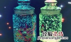 水瓶代表的花是什么 水瓶代表的花是什么花