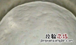 酵母是发面用的吗 酵母有什么作用呢?