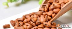 松子的副作用禁忌 松子的副作用