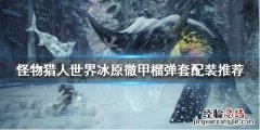 怪物猎人世界冰原徹甲榴弹怎么配装 怪物猎人世界彻甲榴弹和穿甲榴弹